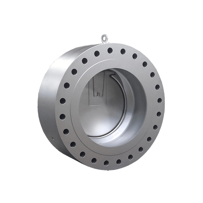 DSS-Valves_Check-Valves