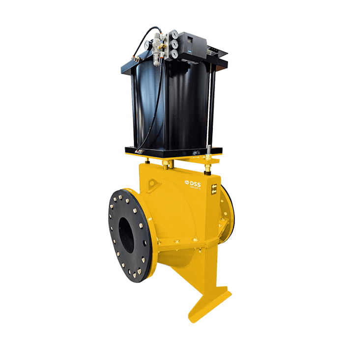 DSS-Valves_Control-Pinch-Valves